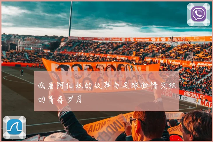 我看阿仙奴的故事与足球激情交织的青春岁月