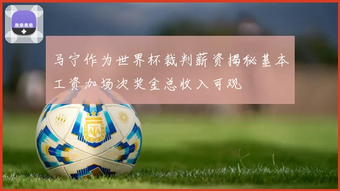 马宁作为世界杯裁判薪资揭秘基本工资加场次奖金总收入可观