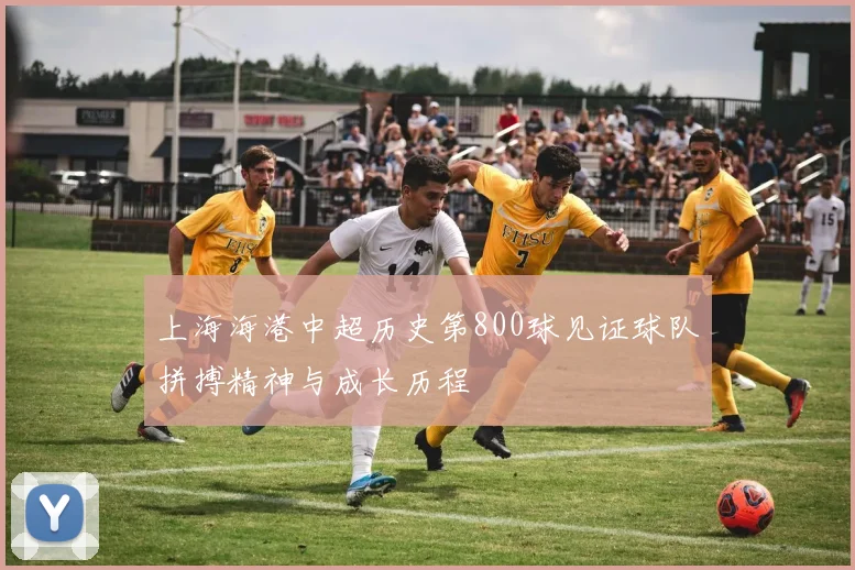 上海海港中超历史第800球见证球队拼搏精神与成长历程