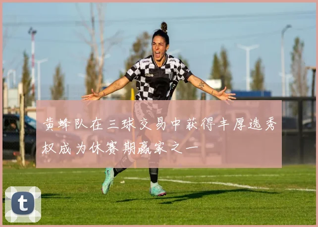 黄蜂队在三球交易中获得丰厚选秀权成为休赛期赢家之一