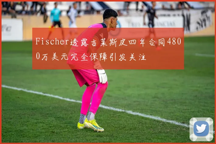 Fischer透露吉莱斯皮四年合同4800万美元完全保障引发关注