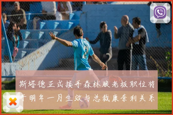 斯塔德正式接手森林狼老板职位将于明年一月生效与总裁康奈利关系紧密